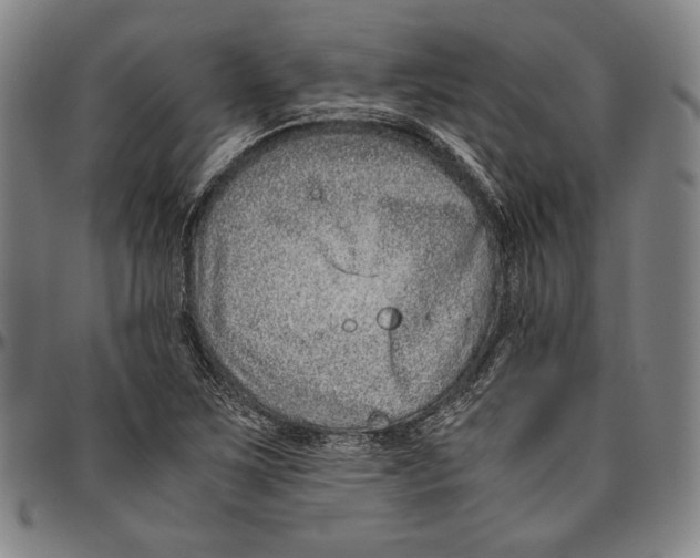 X0000096481267200802211206