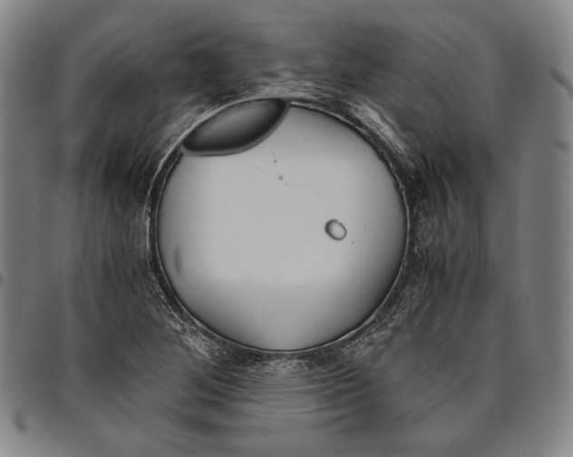 X0000096481268200802211206