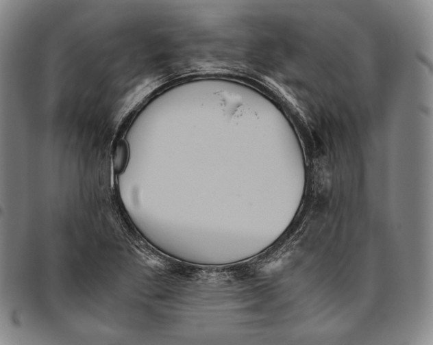 X0000096481269200802211206
