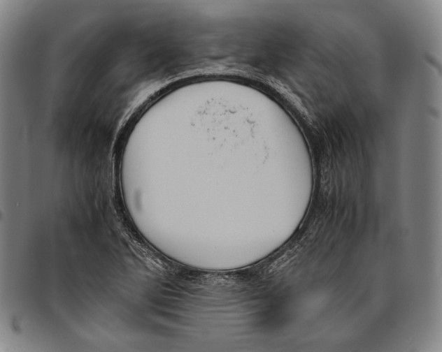 X0000096481270200802211206