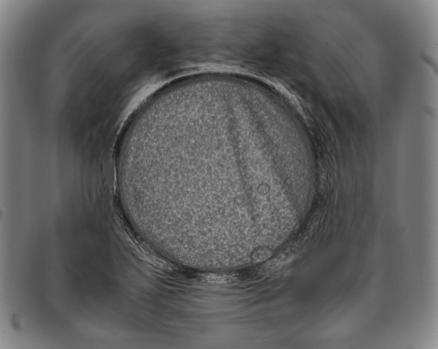 X0000096481271200802211206