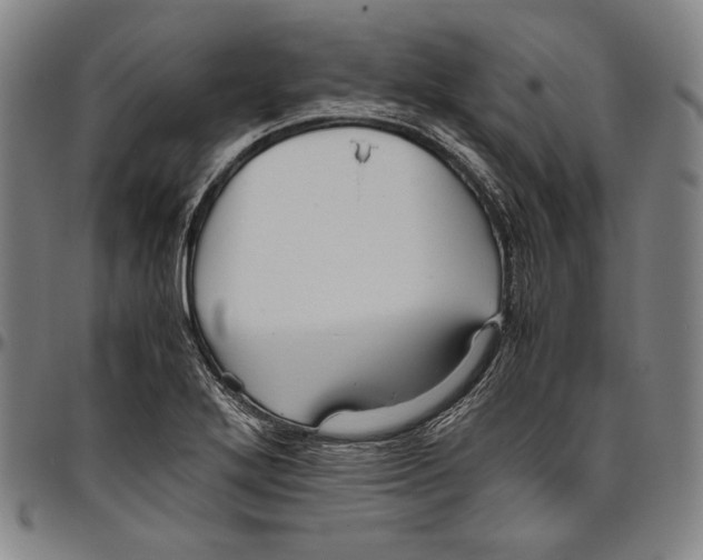X0000096481272200802211206