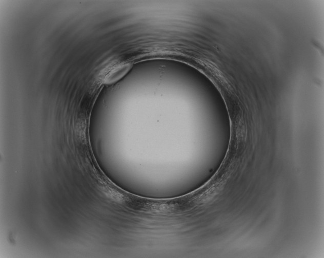 X0000096481273200802211206