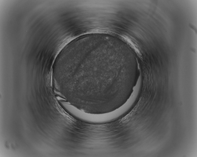 X0000096481276200802211206