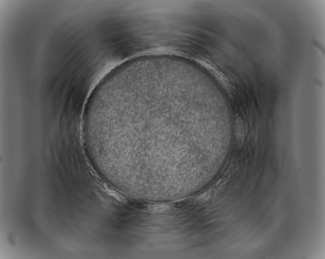 X0000096481278200802211206