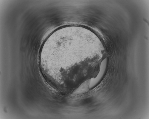 X0000096481279200802211206