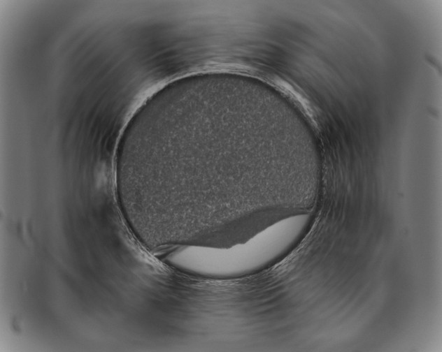 X0000096481280200802211206