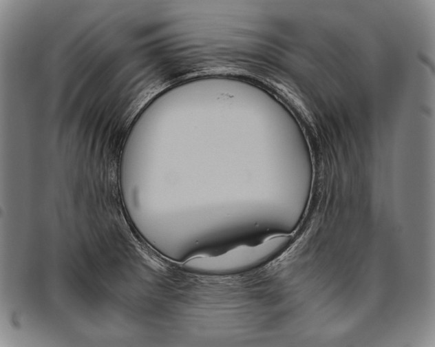 X0000096481281200802211206