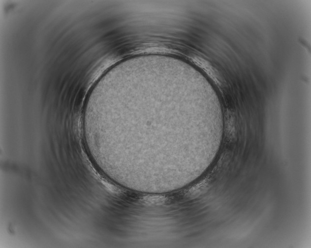 X0000096481282200802211206