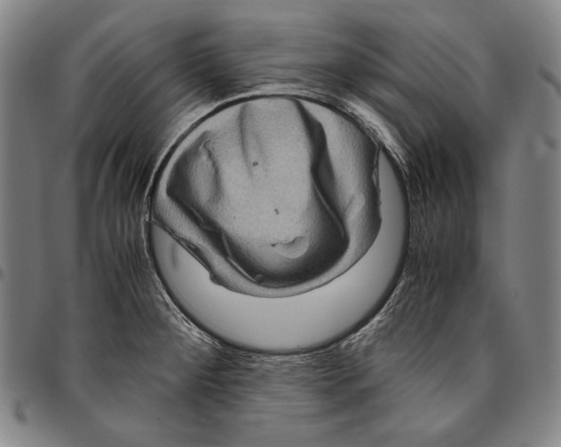 X0000096481284200802211206
