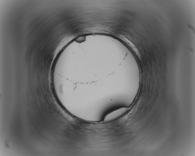 X0000096481285200802211206
