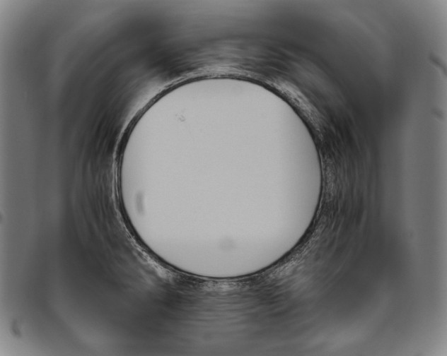 X0000096481286200802211205
