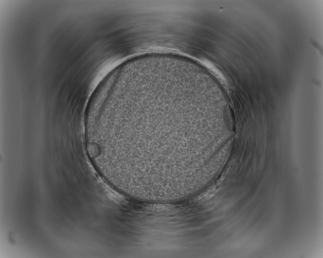 X0000096481287200802211205