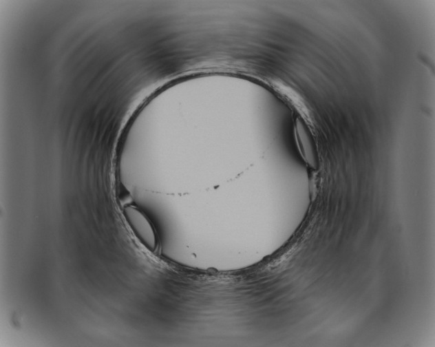 X0000096481288200802211205