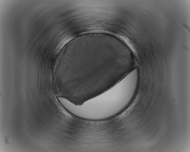 X0000096481289200802211205