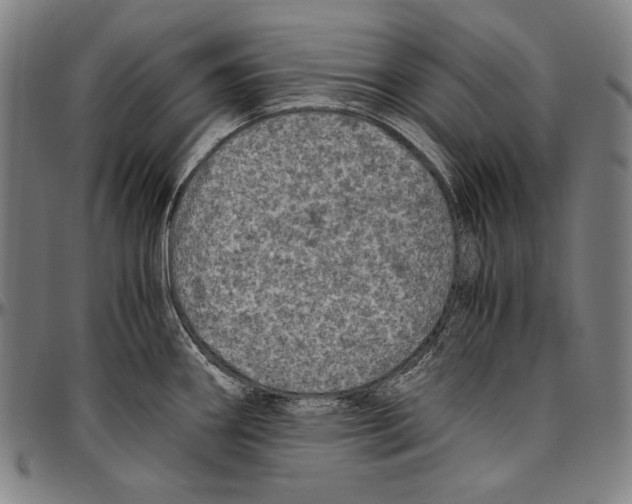 X0000096481290200802211205