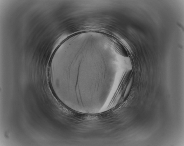 X0000096481291200802211205