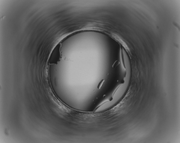 X0000096481292200802211205