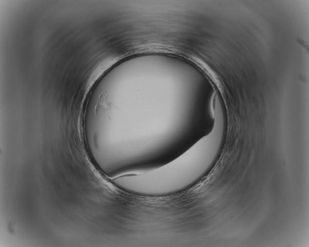 X0000096481293200802211205