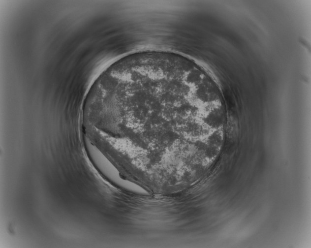 X0000096481295200802211205
