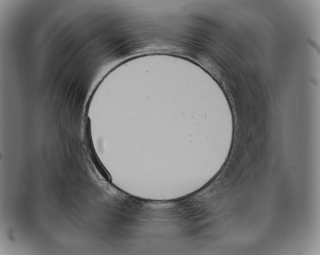 X0000096481296200802211205