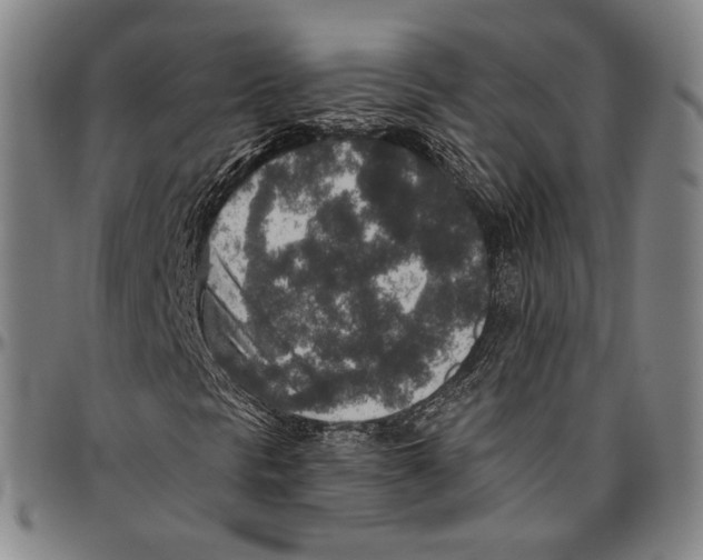 X0000096481297200802211204