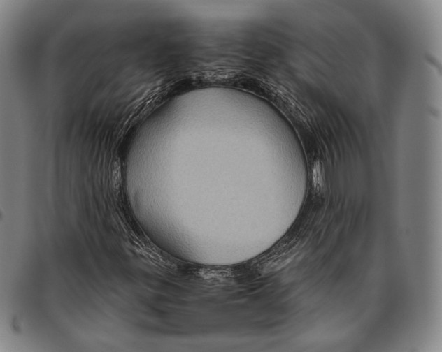 X0000096481299200802211204