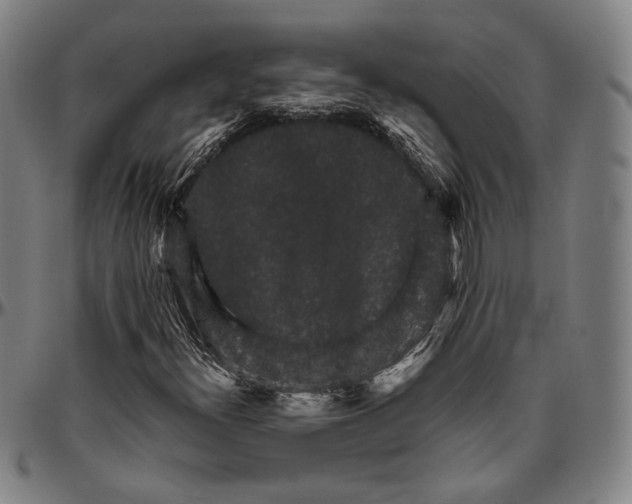 X0000096481300200802211205