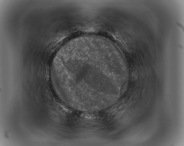 X0000096481301200802211205