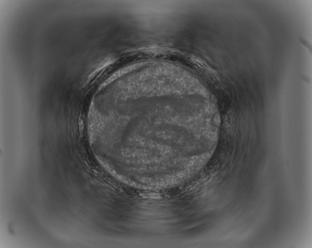 X0000096481302200802211205
