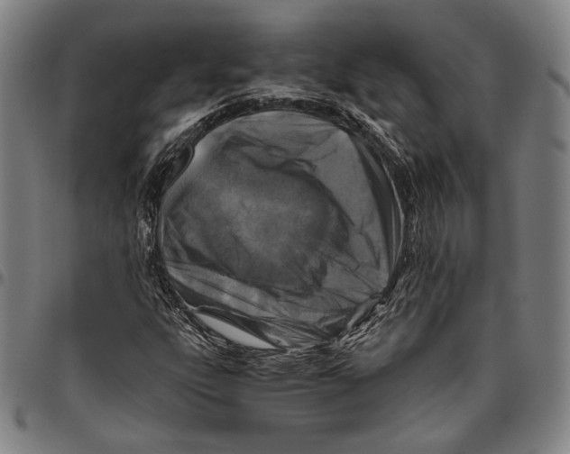 X0000096481303200802211205