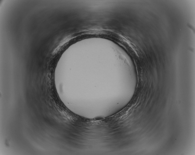 X0000096481304200802211205