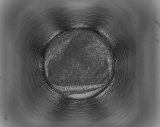 X0000096481305200802211205