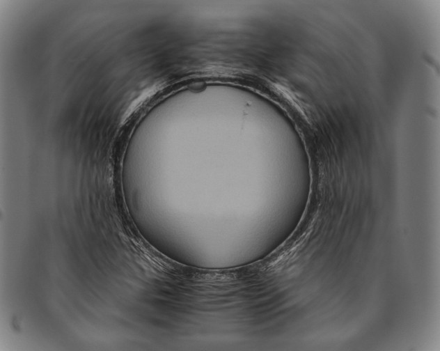 X0000096481307200802211205