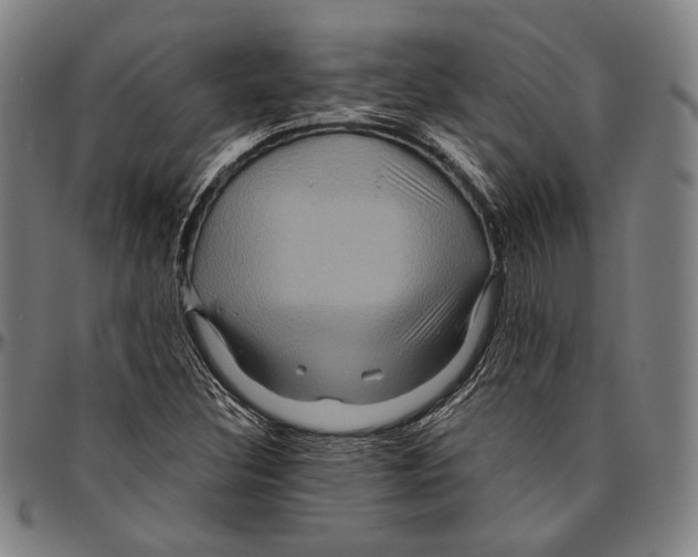 X0000096481308200802211205