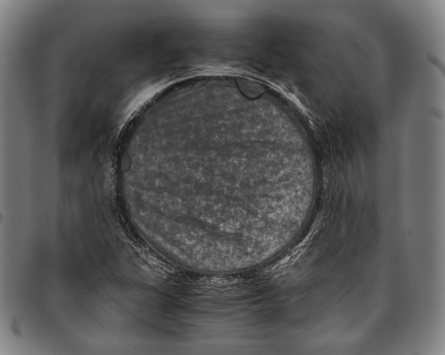 X0000096481311200802211205