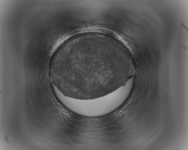 X0000096481312200802211205
