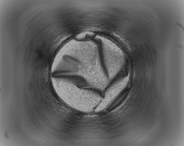 X0000096481313200802211205