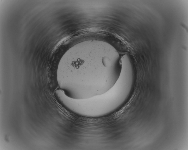 X0000096481314200802211205
