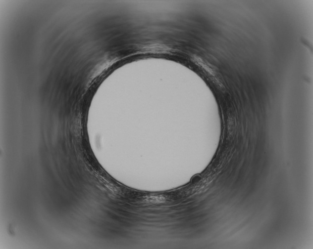 X0000096481315200802211205