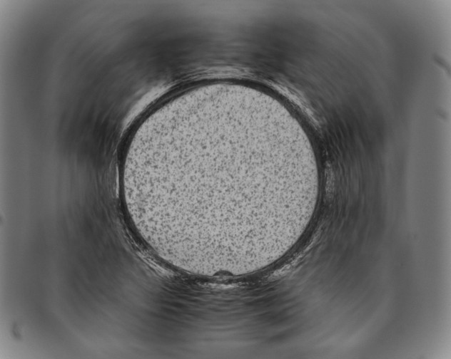 X0000096481317200802211205