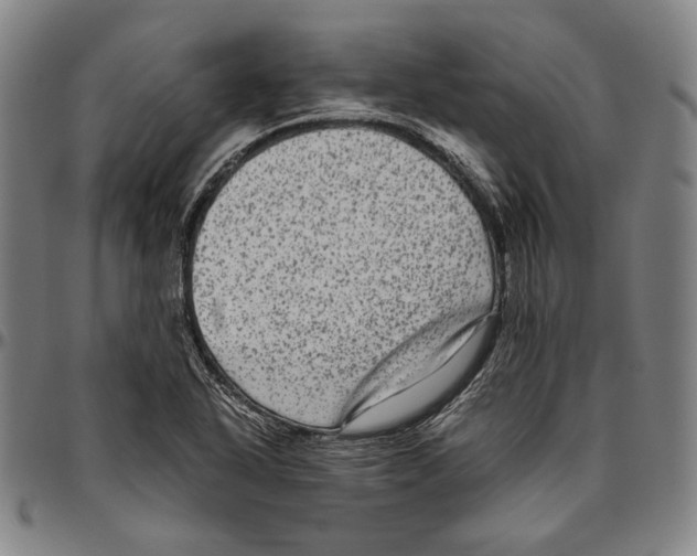 X0000096481318200802211205