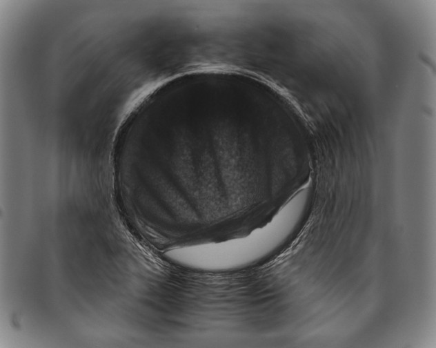 X0000096481319200802211205