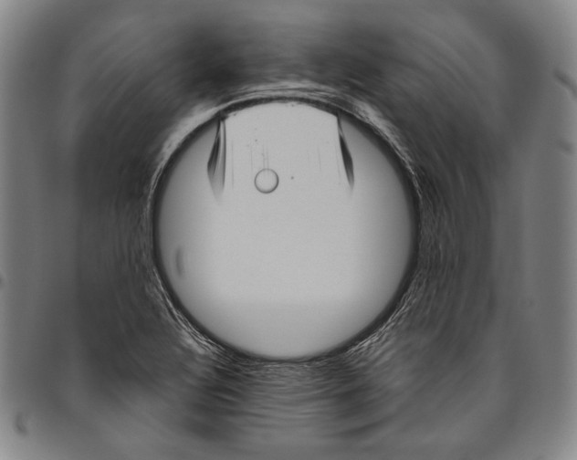 X0000096481320200802211205