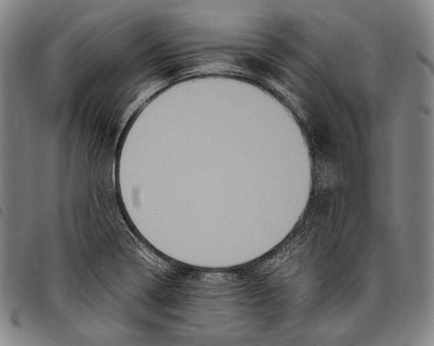 X0000096481322200802211205