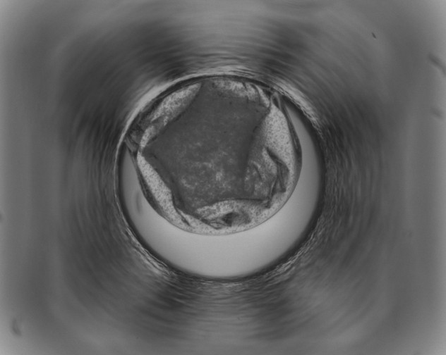 X0000096481324200802211205