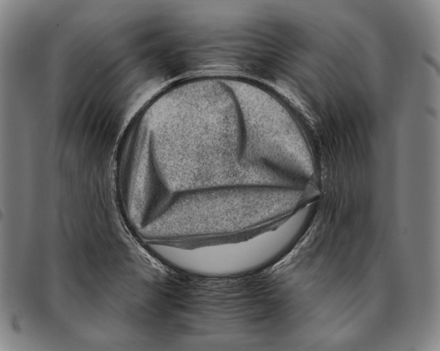 X0000096481325200802211205