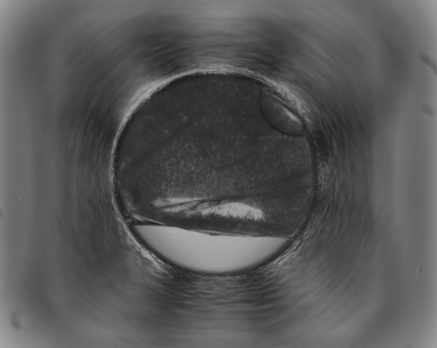 X0000096481327200802211205