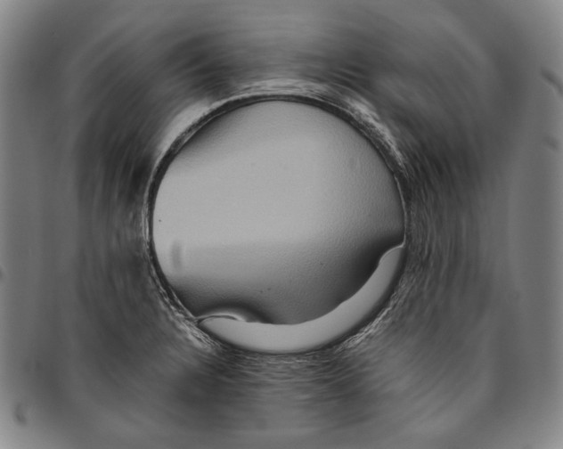 X0000096481328200802211205