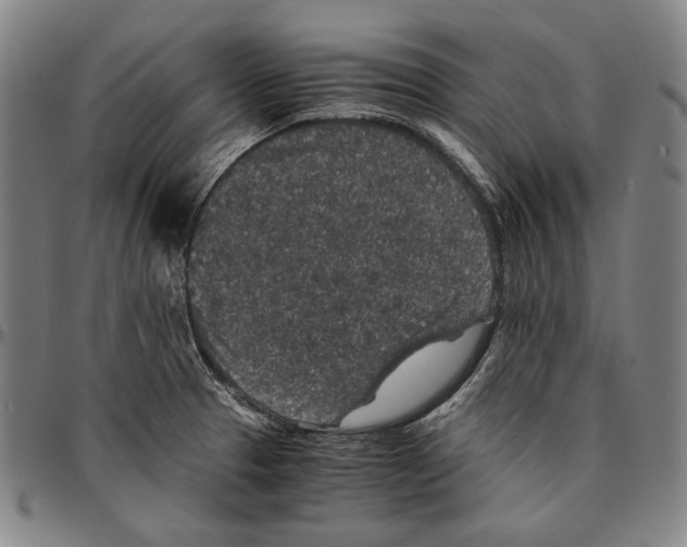 X0000096481329200802211205